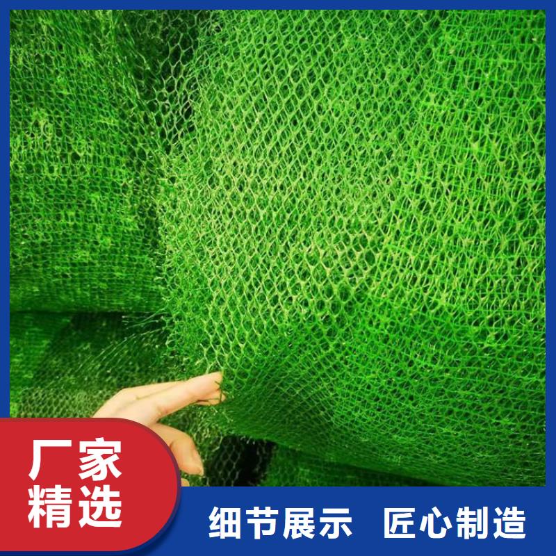 三维植被网【双向塑料土工格栅】物流配送