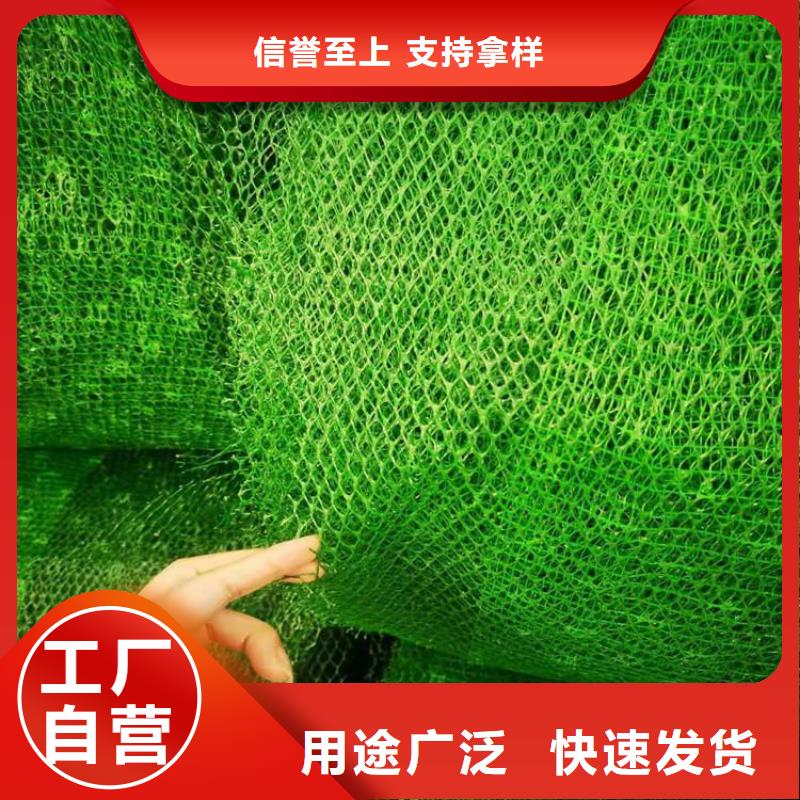 【三维植被网】双向土工格栅厂家销售