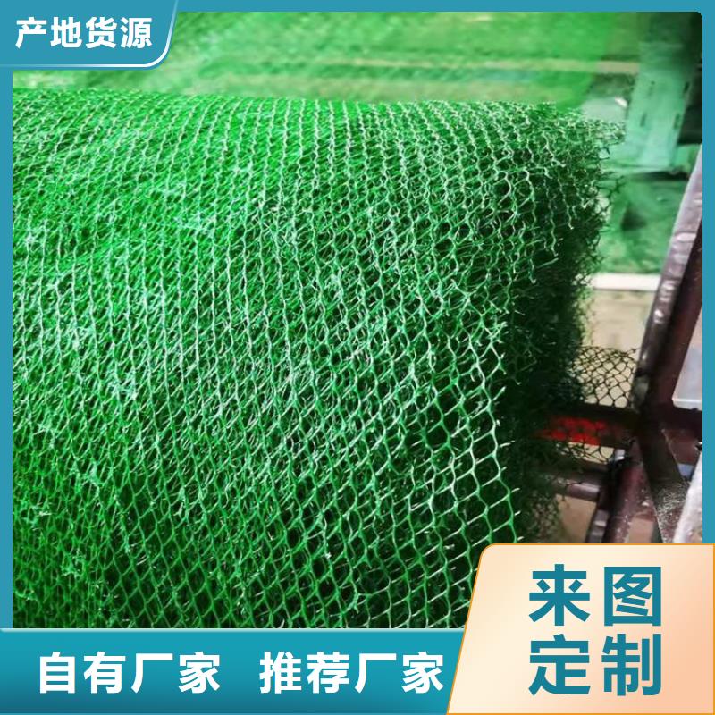 三维植被网HDPE土工膜省心又省钱