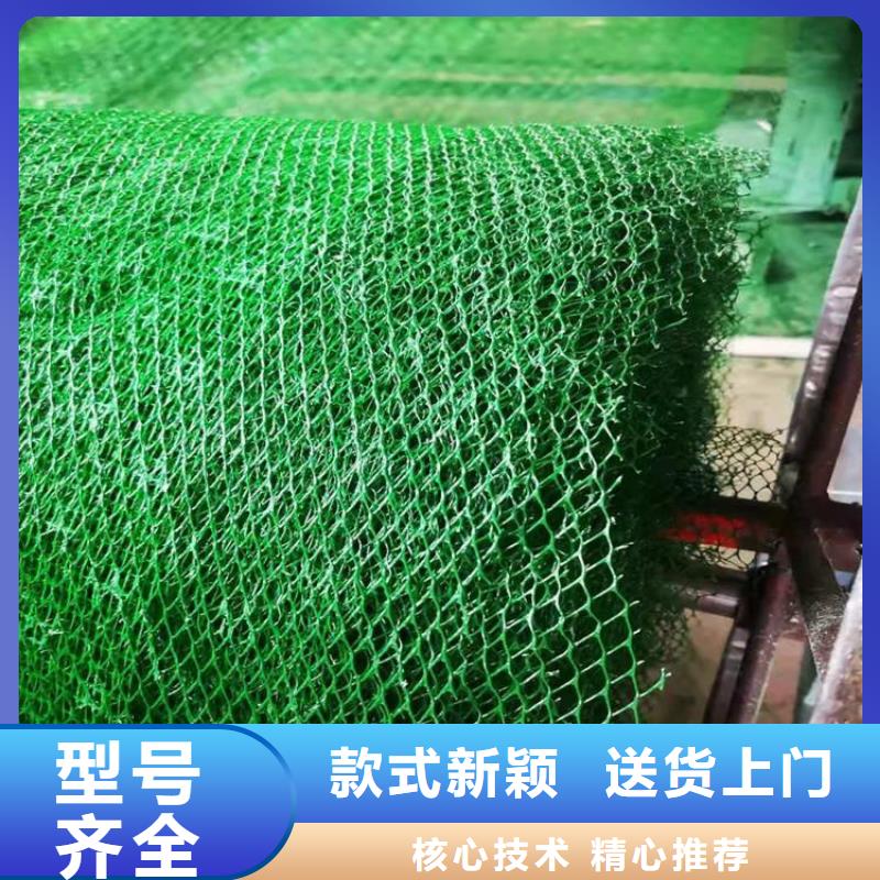 三维植被网,膨润土防水毯的图文介绍