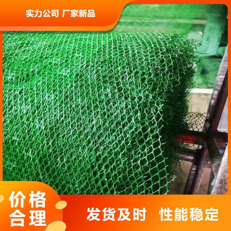 三维植被网,土工膜助您降低采购成本
