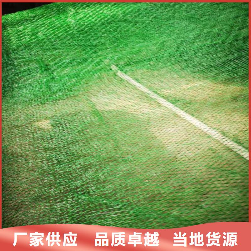 【三维植被网】防水板不断创新