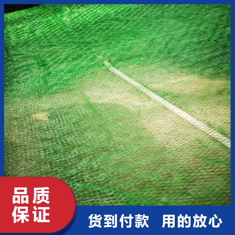三维植被网,膨润土防水毯的图文介绍