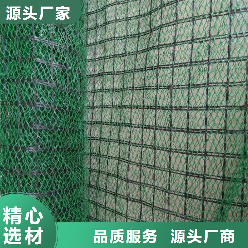 三维植被网,双向土工格栅海量货源