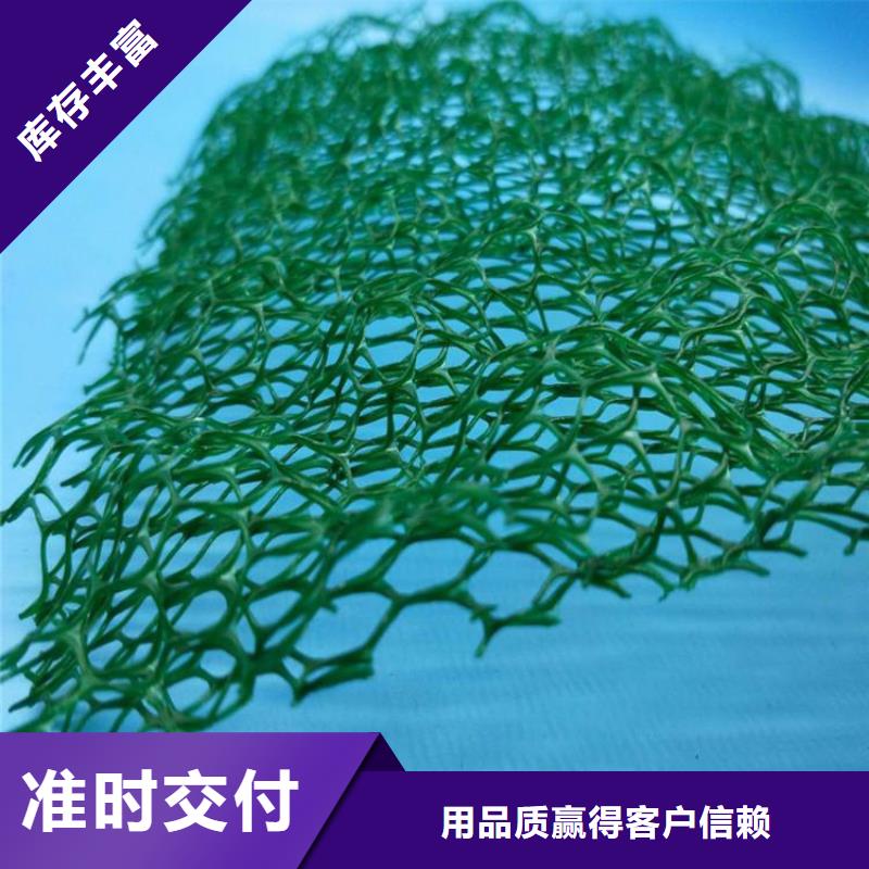 三维植被网土工格栅好产品价格低