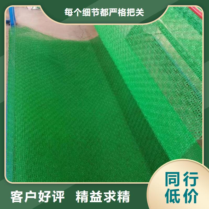 三维植被网编织布现货批发