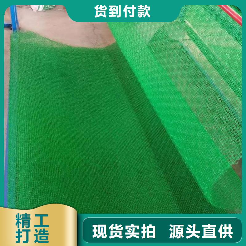 三维植被网【HDPE土工膜】生产型
