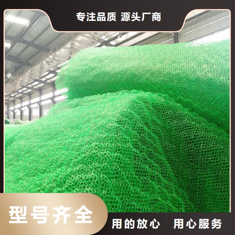 【三维植被网聚酯玻纤布量大从优】