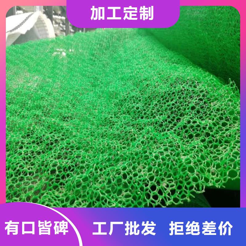 三维植被网网格布工厂批发