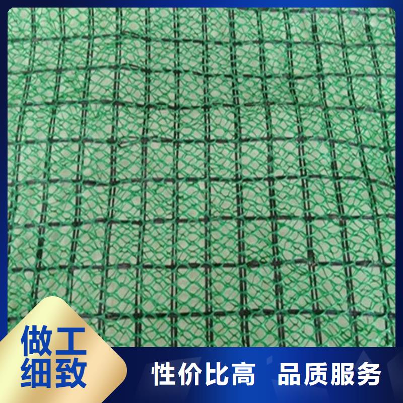 三维植被网防裂贴讲信誉保质量