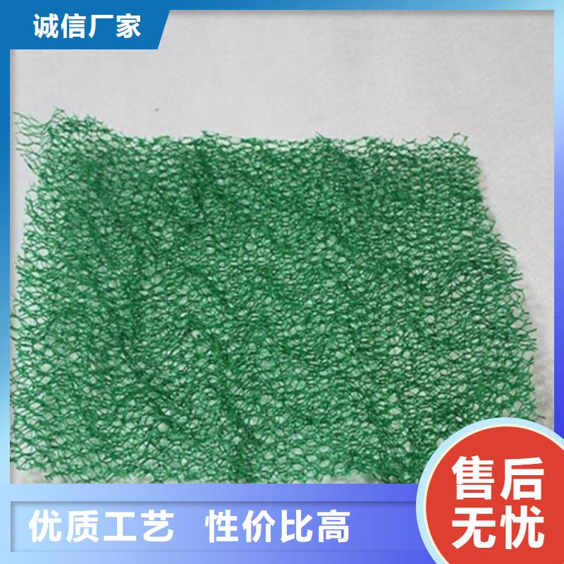 三维植被网软式透水管精工打造