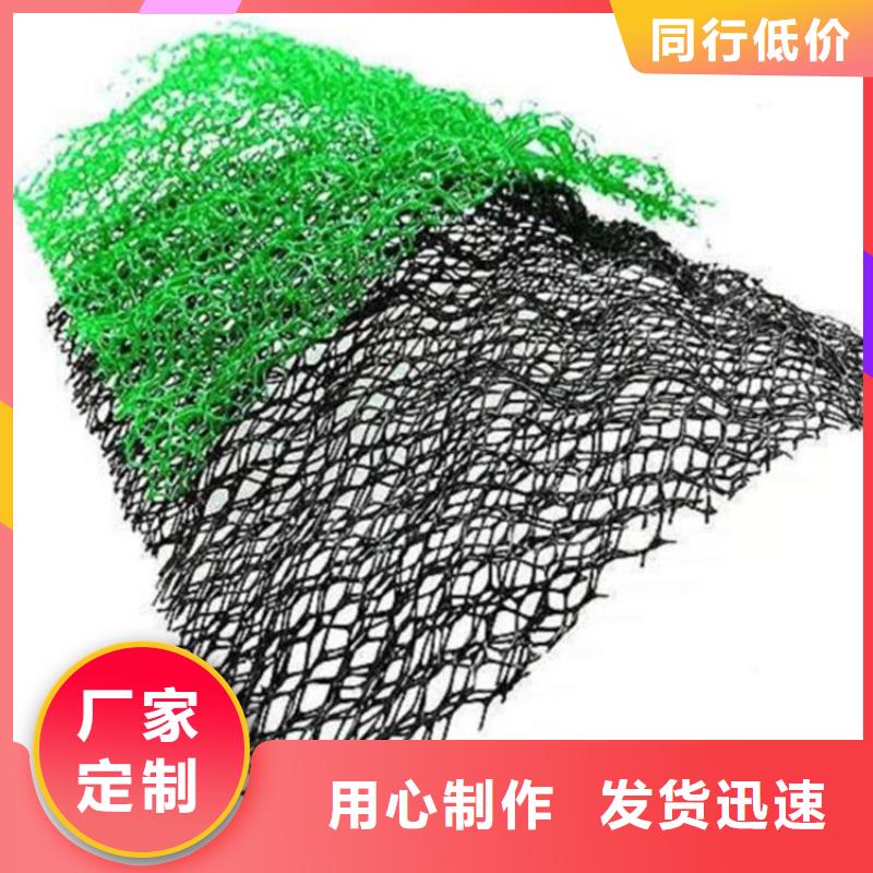 三维植被网-【土工膜】大品牌值得信赖