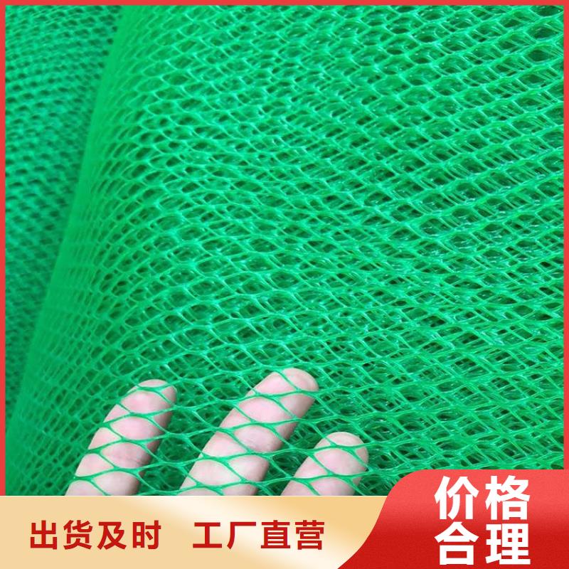 三维植被网编织布现货批发