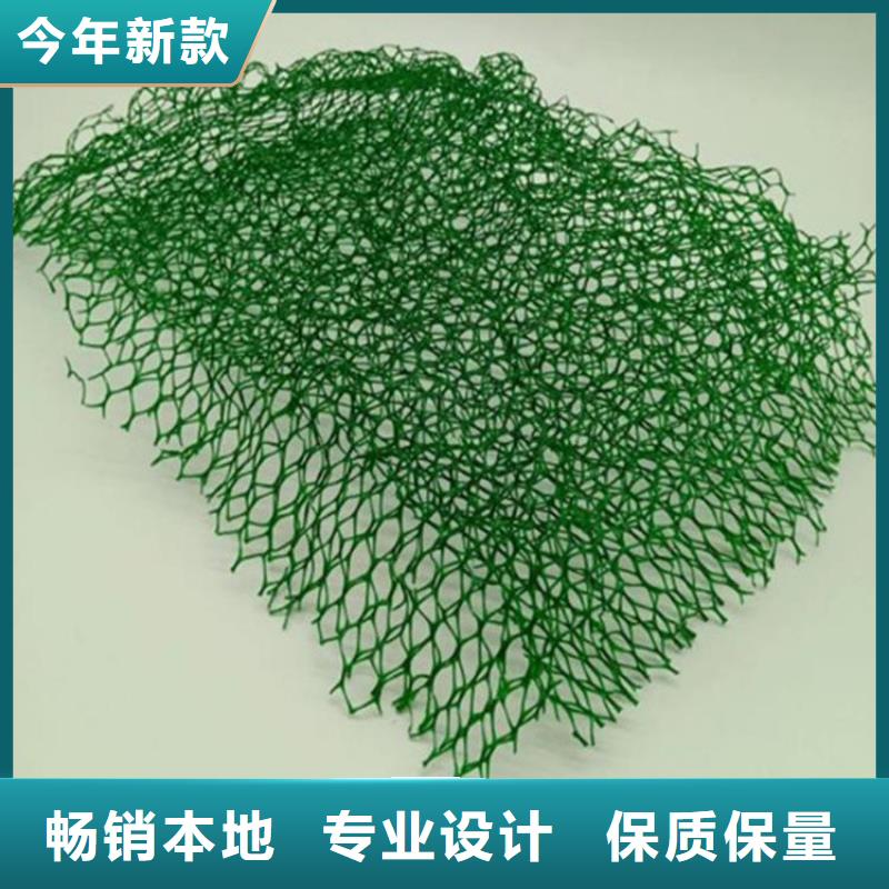 【三维植被网聚酯玻纤布量大从优】