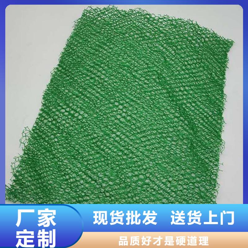三维植被网土工布生产厂家