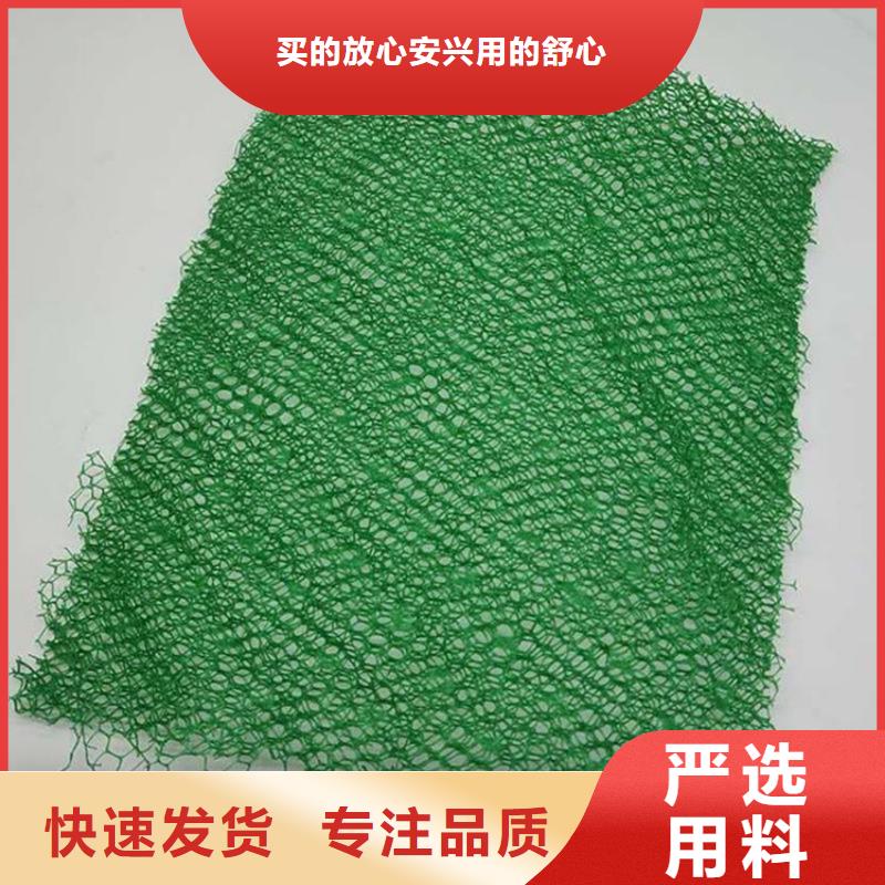 三维植被网双向塑料土工格栅专注品质