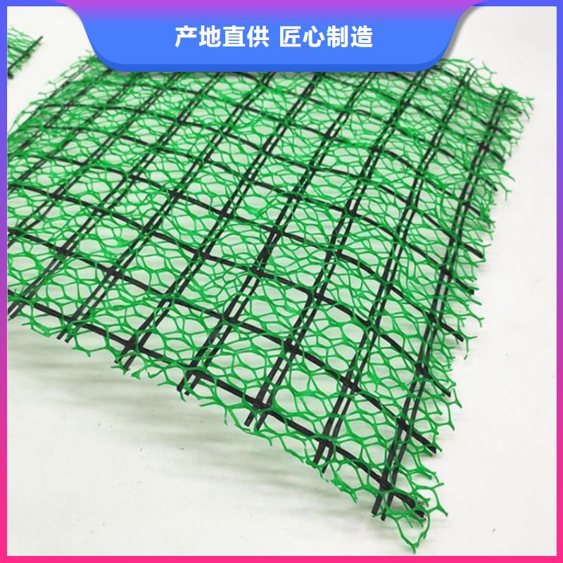 【三维植被网】钢塑土工格栅专注生产制造多年