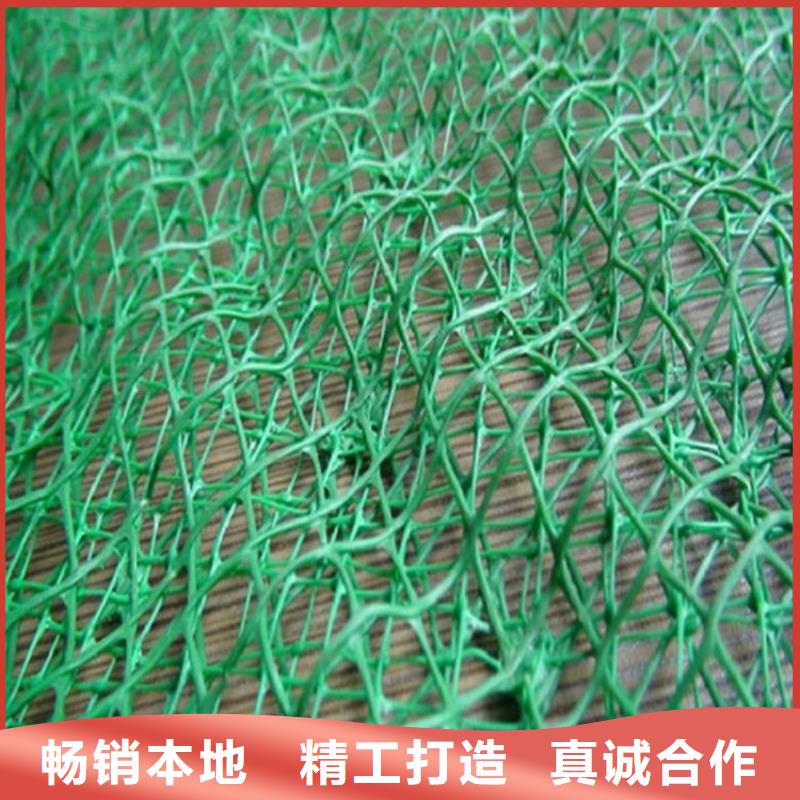 三维植被网-玻纤格栅产品性能