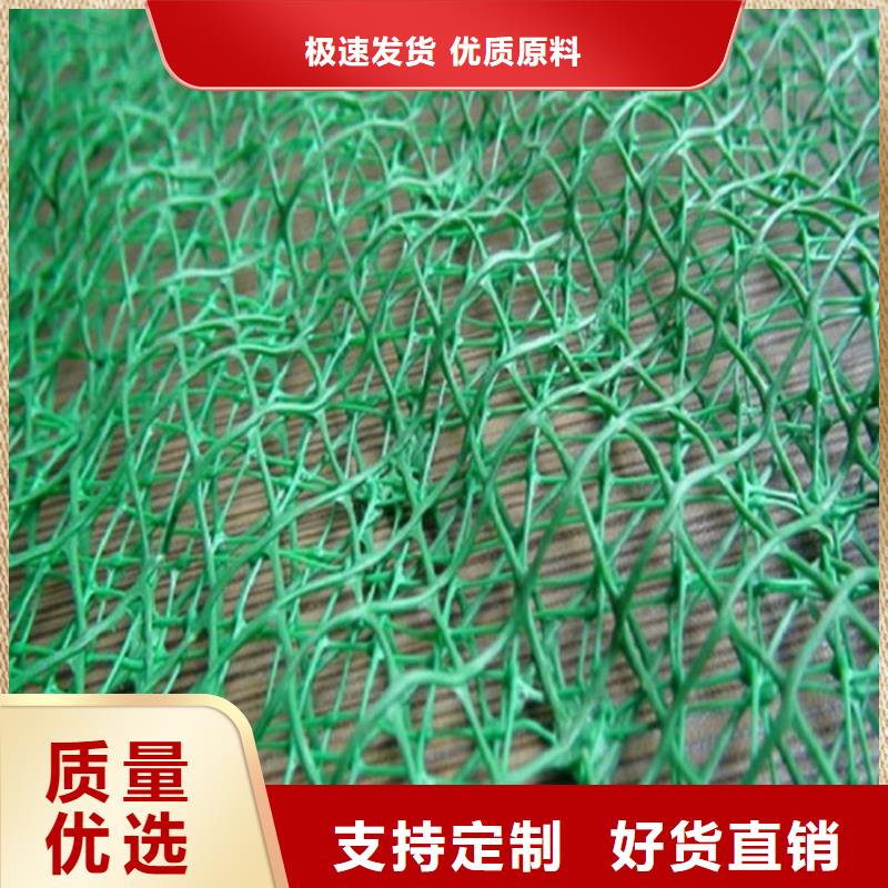 三维植被网,双向土工格栅海量货源