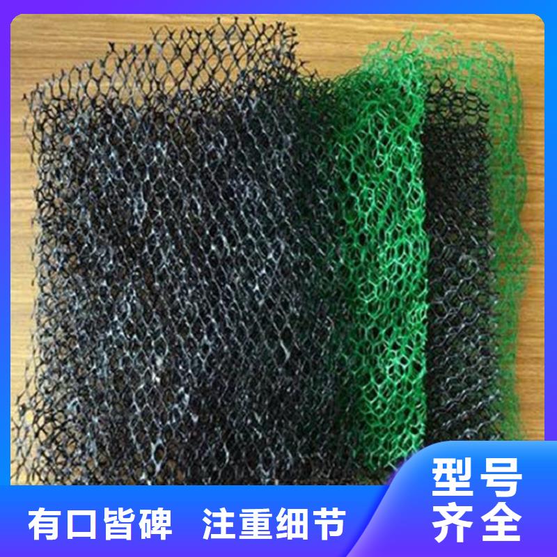 三维植被网【双向塑料土工格栅】物流配送