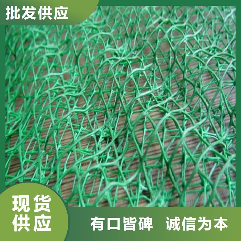 三维植被网软式透水管精工打造