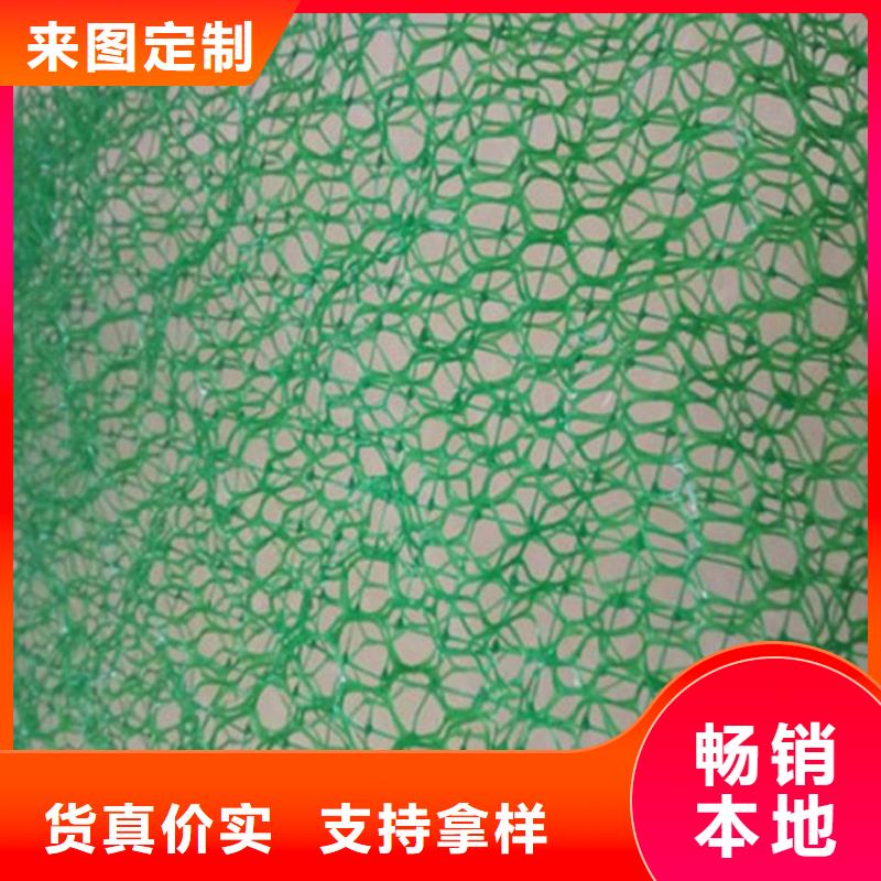 三维植被网,土工布联系厂家