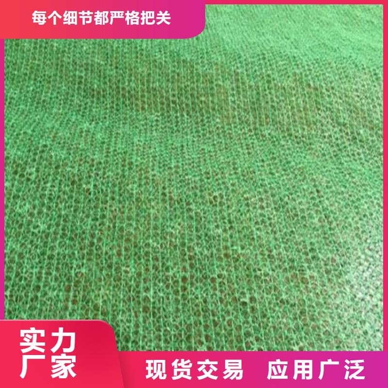 三维植被网_聚酯布保障