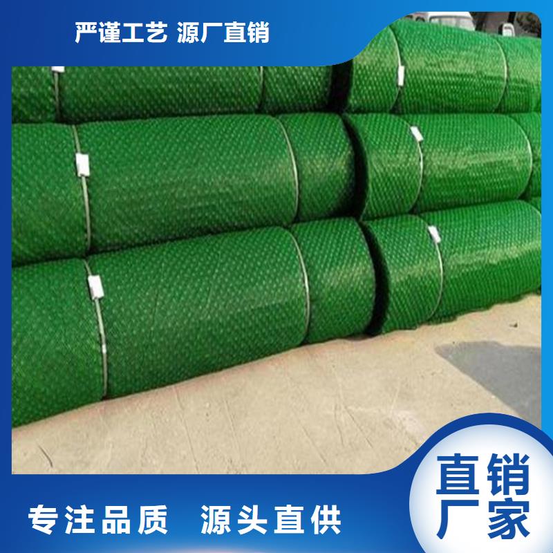 三维植被网出厂严格质检