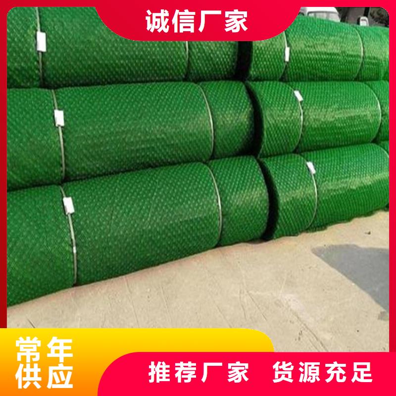 三维植被网生态带大量现货供应