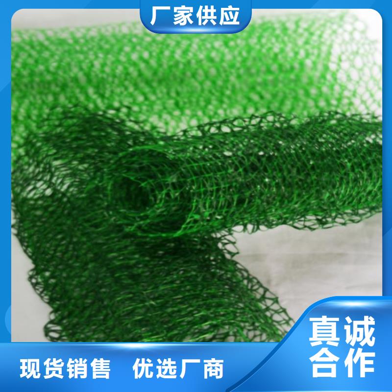 三维植被网【涤纶格栅】质量优选
