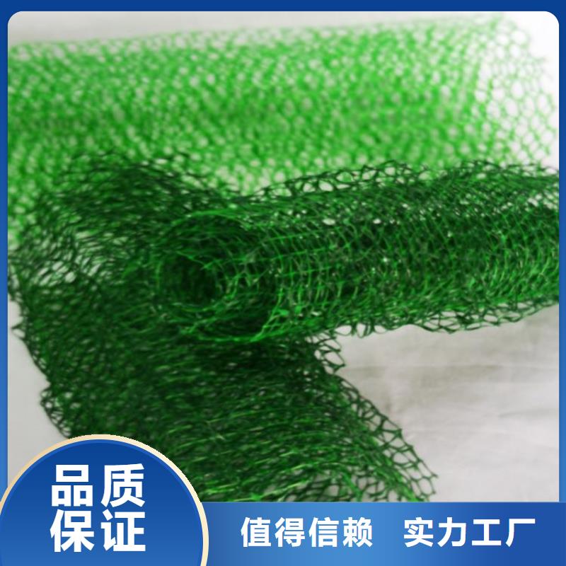 三维植被网塑料土工格栅产品参数