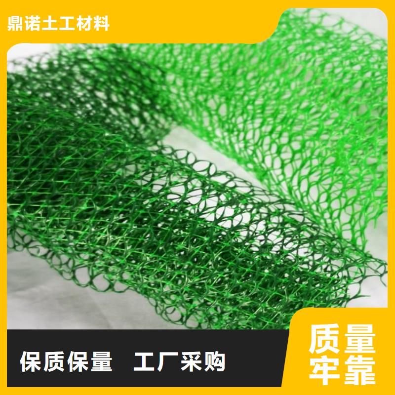 三维植被网土工布生产厂家