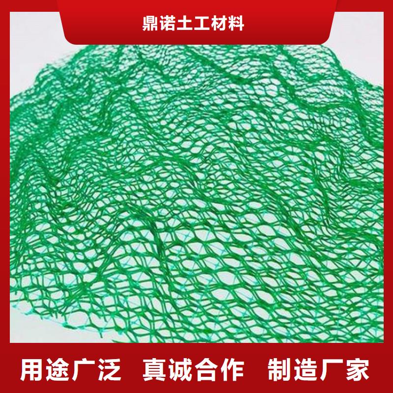 三维植被网编织布现货批发