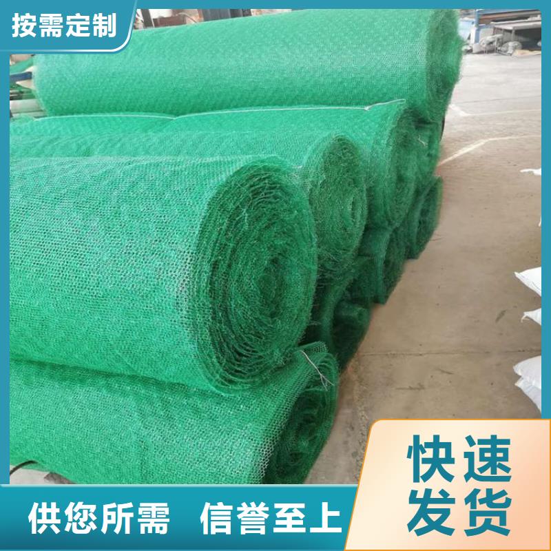 三维植被网【玻纤土工格栅】实力雄厚品质保障