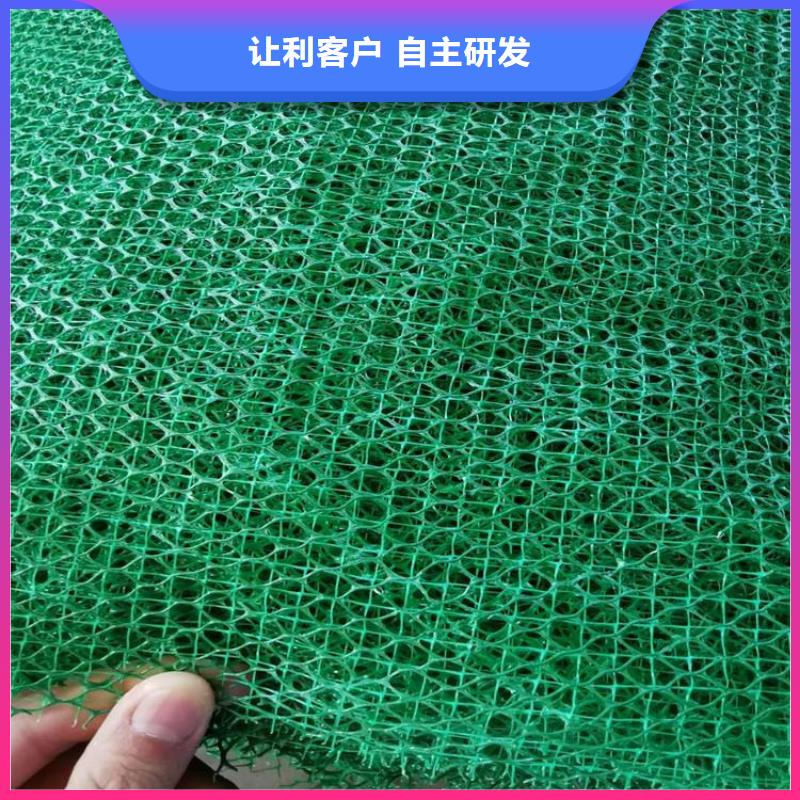 三维植被网编织布现货批发