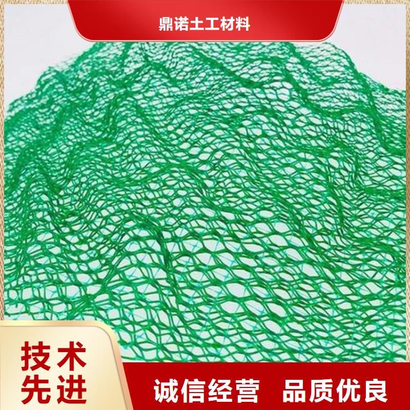 三维植被网生态带大量现货供应