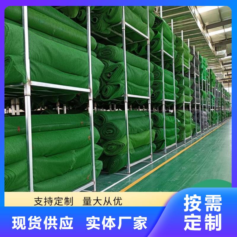 【三维植被网】双向土工格栅厂家销售