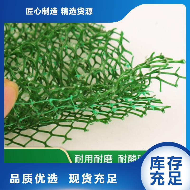 三维植被网软式透水管价格透明