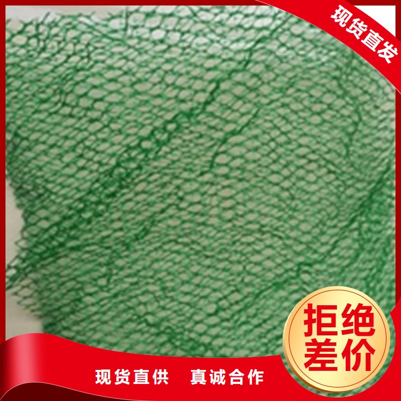 三维植被网双向塑料土工格栅专注品质