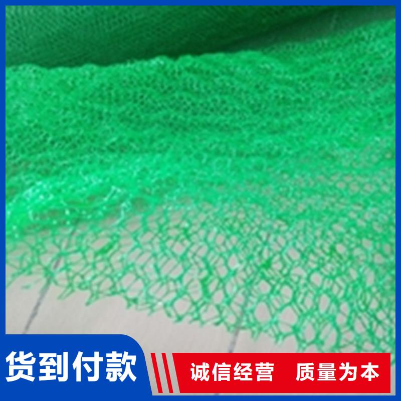【三维植被网】防水板不断创新