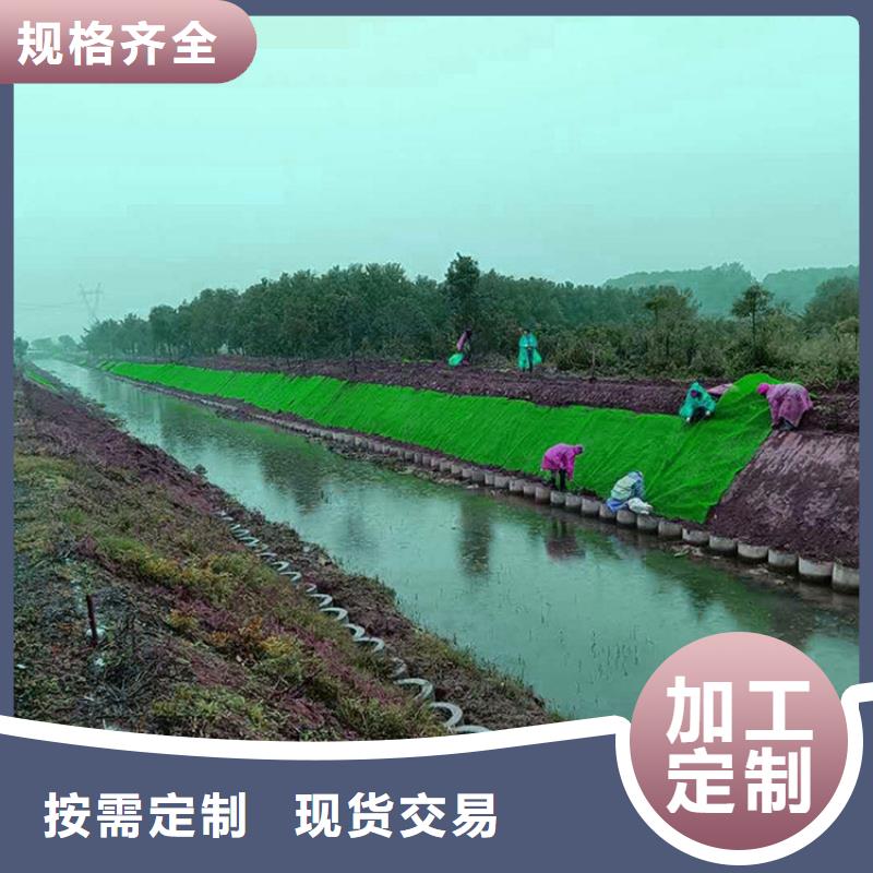 三维植被网-【土工膜】大品牌值得信赖