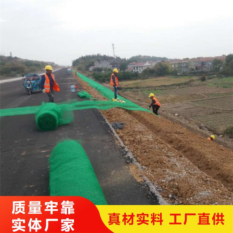 【三维植被网】双向土工格栅厂家销售
