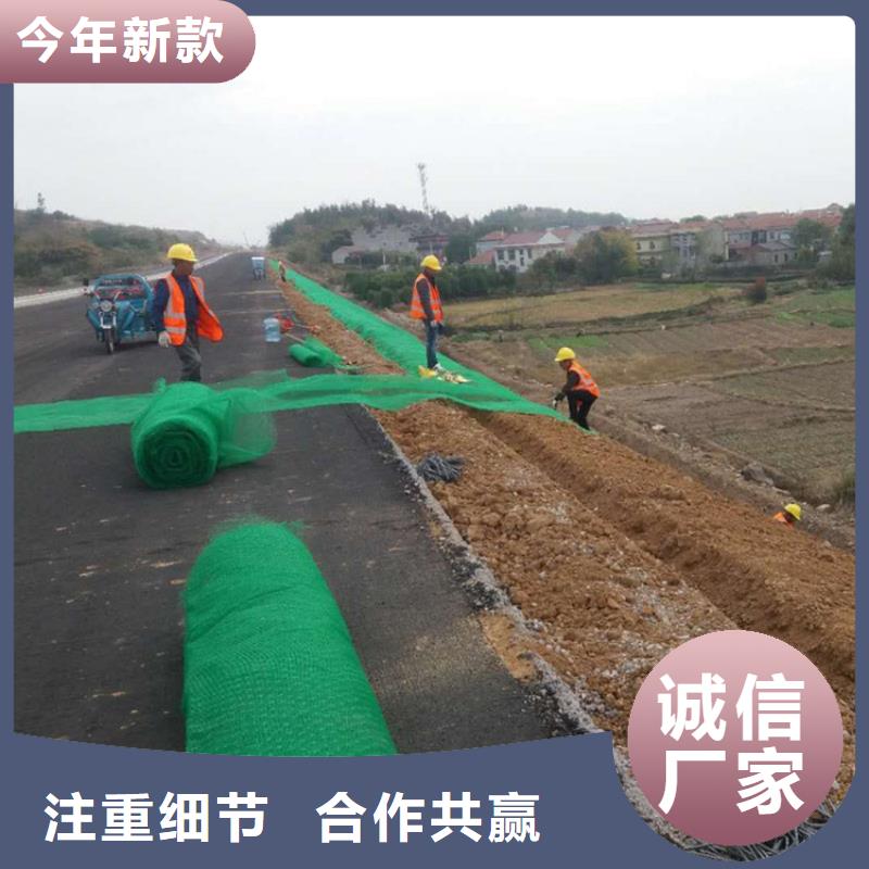 三维植被网,玻纤格栅打造行业品质
