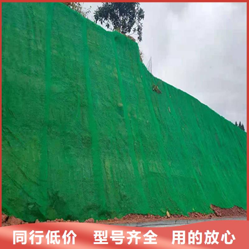 三维植被网抗裂贴质检严格