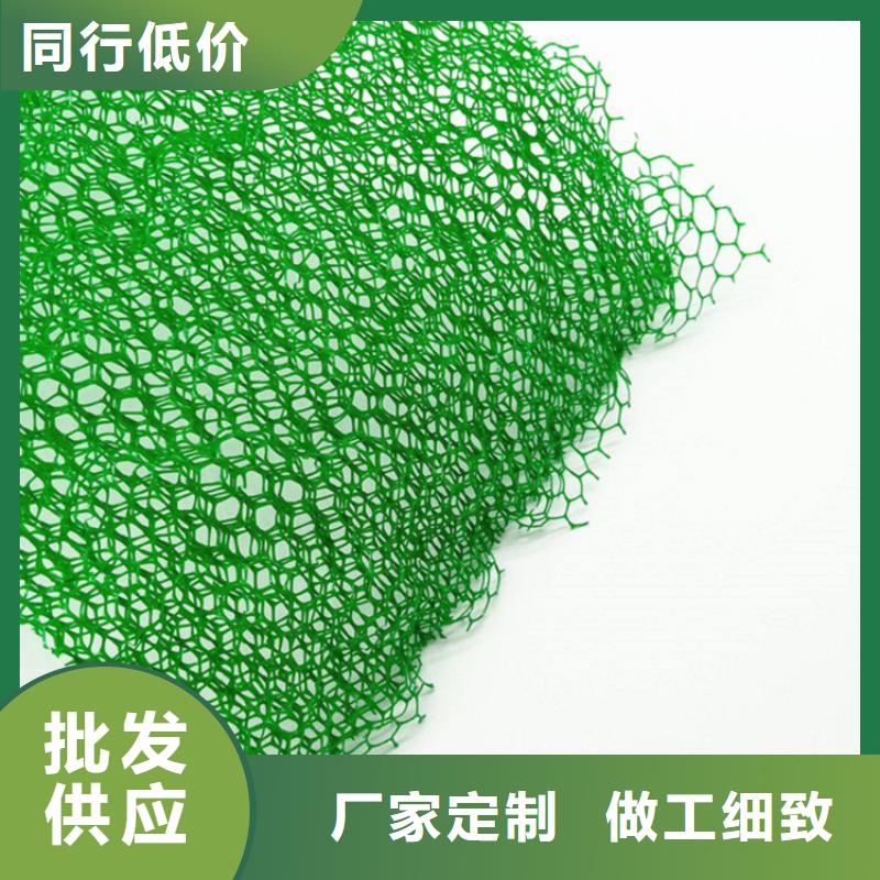 三维植被网-玻纤格栅实力厂家直销
