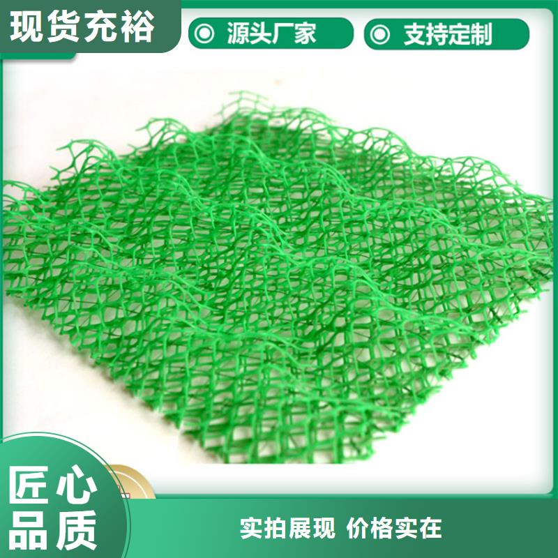 三维植被网HDPE土工膜源头厂家直销