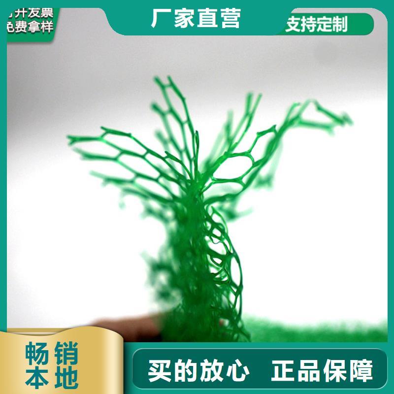 三维植被网-土工膜好产品不怕比