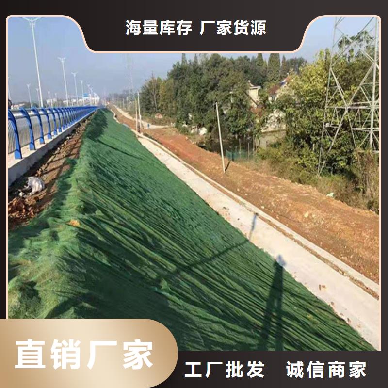 三维植被网抗裂贴质检严格