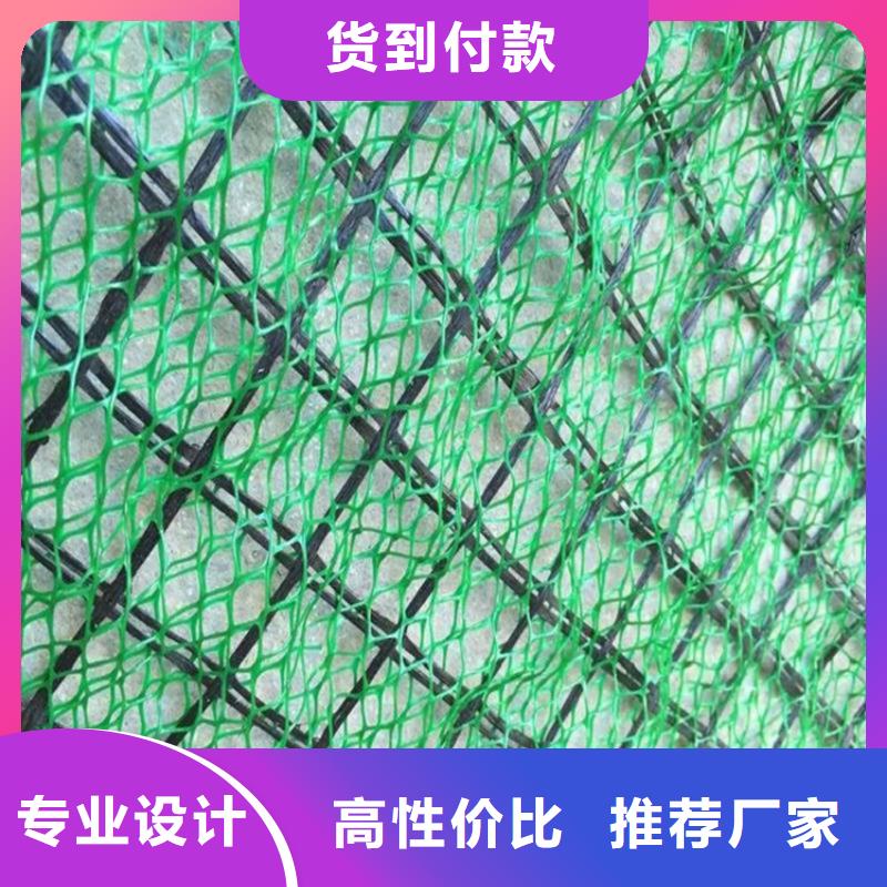三维植被网-玻纤格栅实力厂家直销