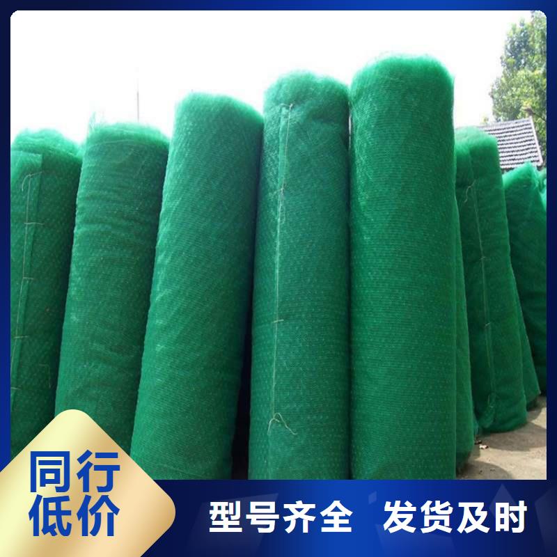 三维植被网_聚酯布保障
